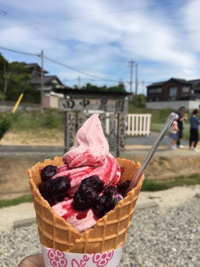 田中農園 - サブ画像3
