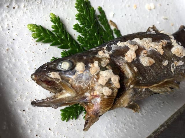 森養魚場 いわなの庵 - サブ画像1
