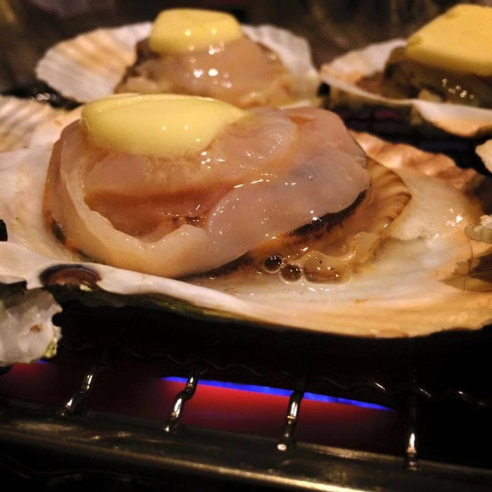 魚歌