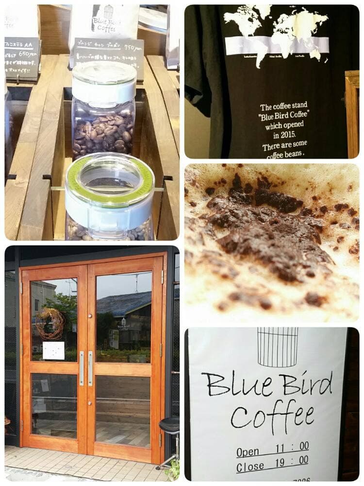 Blue Bird Coffee
