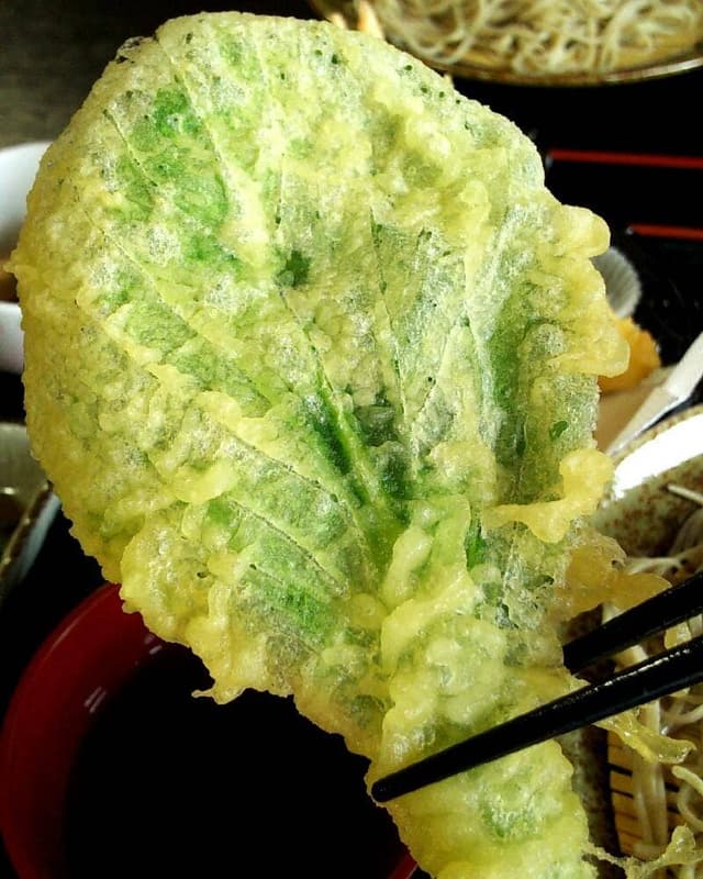 北澤 - サブ画像2