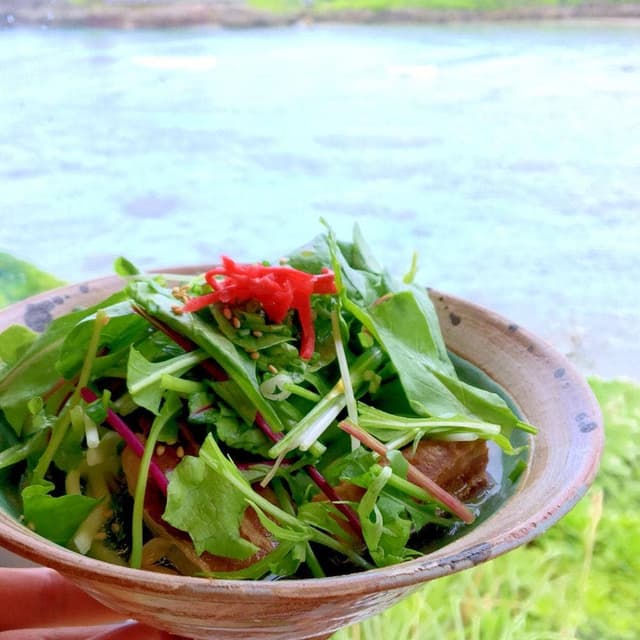 シーサイドカフェ 海遊 宮古島海中公園 - サブ画像2