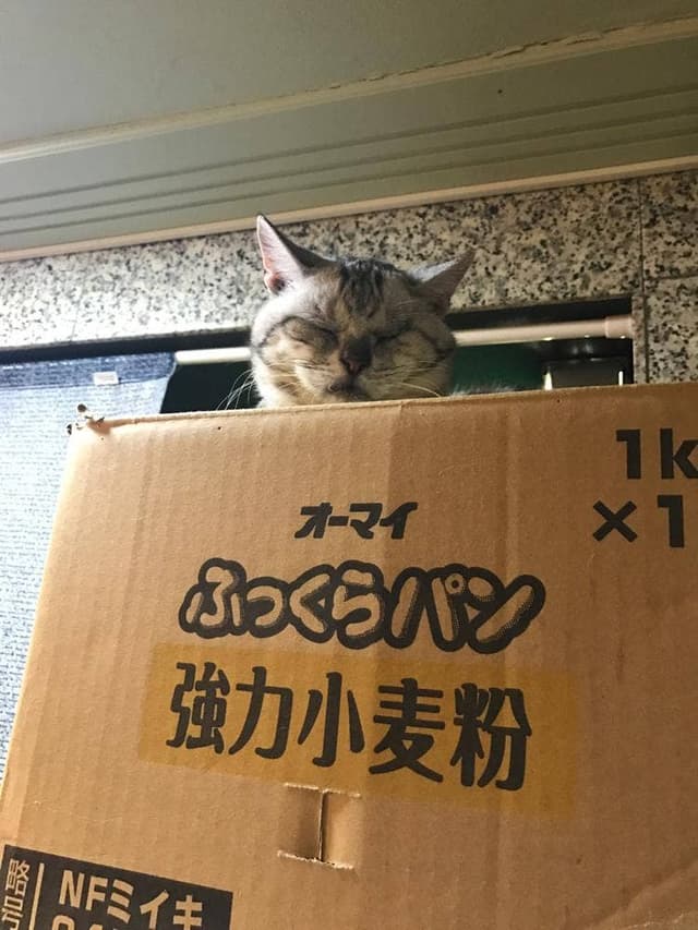 本町通 八 - サブ画像2