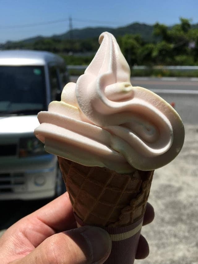 桃茂実苑 - サブ画像1