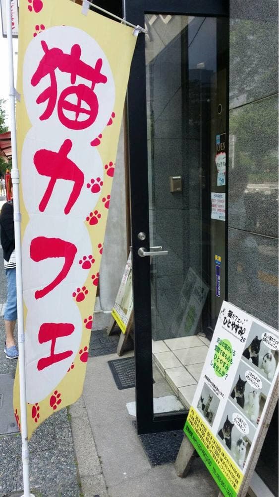 猫カフェ ひとやすみ