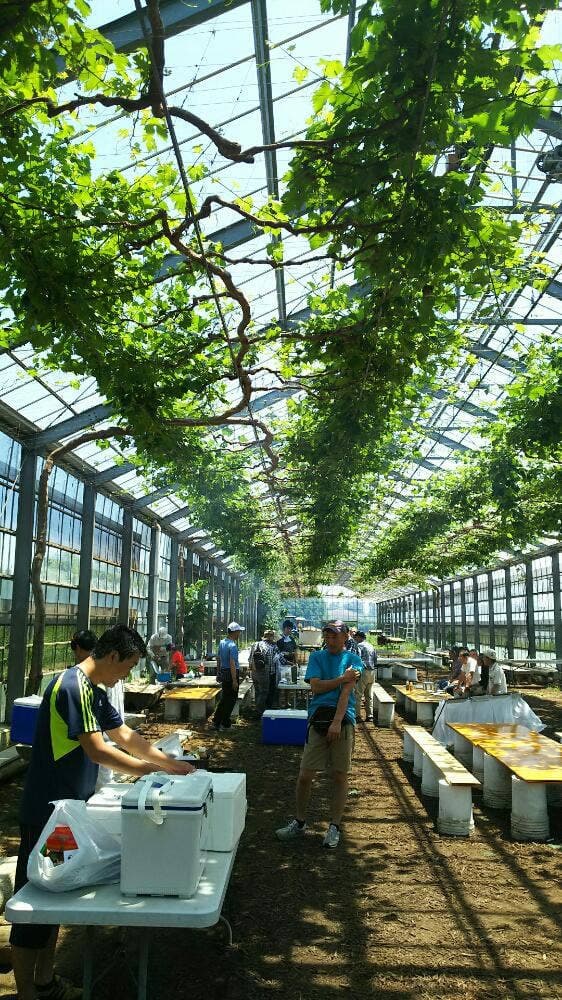 弁慶果樹園 - サブ画像1