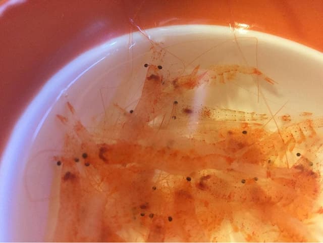 鮨処やましち - サブ画像2