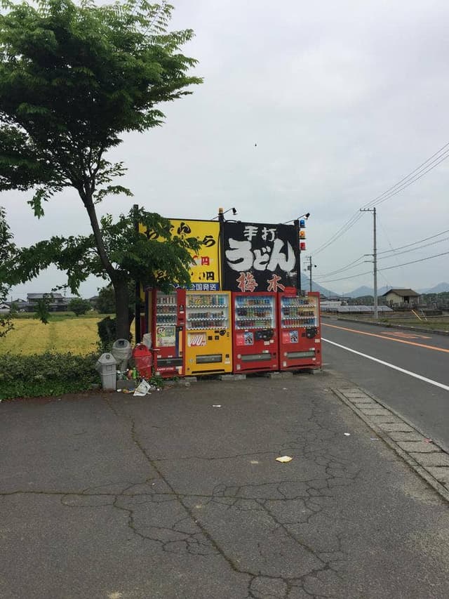 梅木うどん店 - サブ画像1