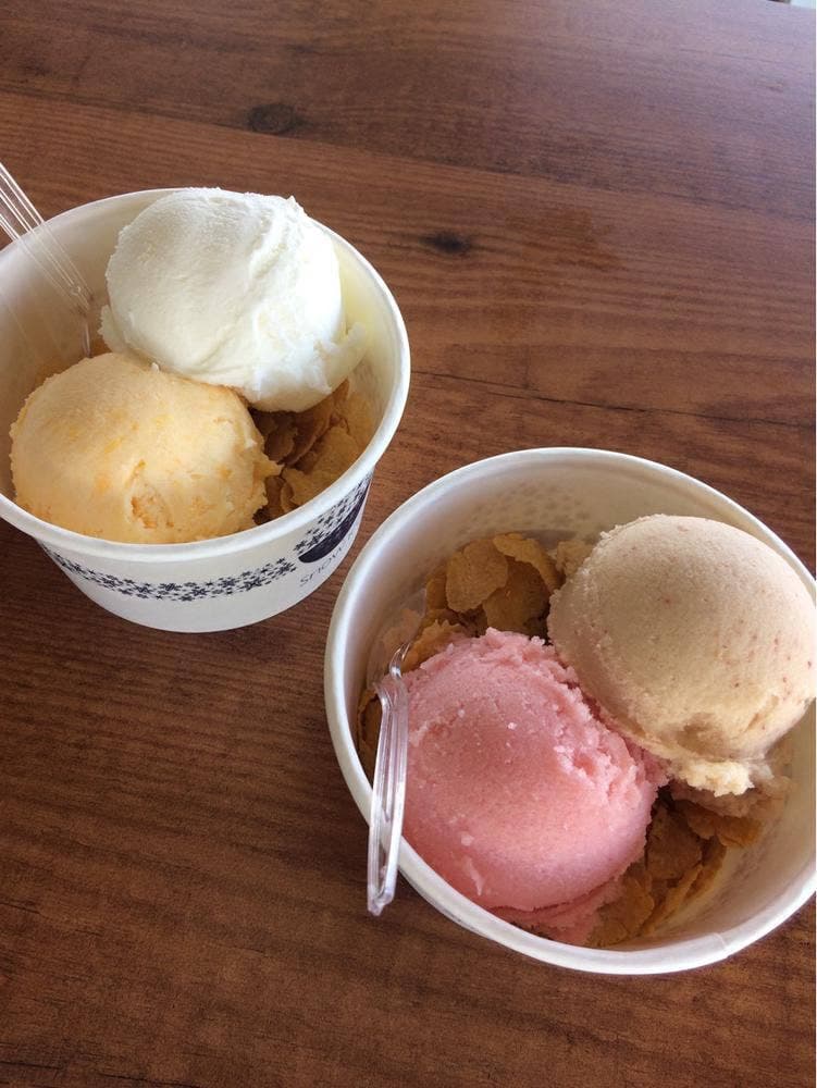 道の駅 すいかの里うえき