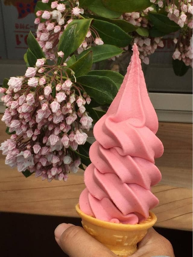 山頂カフェ 富士見パノラマリゾート - サブ画像1