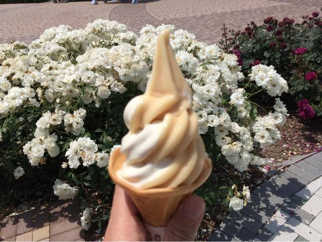 赤い屋根の売店 - サブ画像2