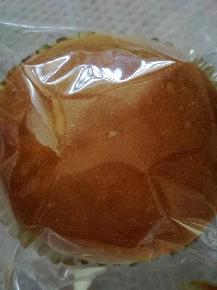 パンビオロジック空我