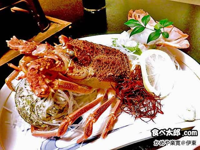 伊豆 伊東温泉 湯あみの宿 かめや楽寛 - サブ画像2