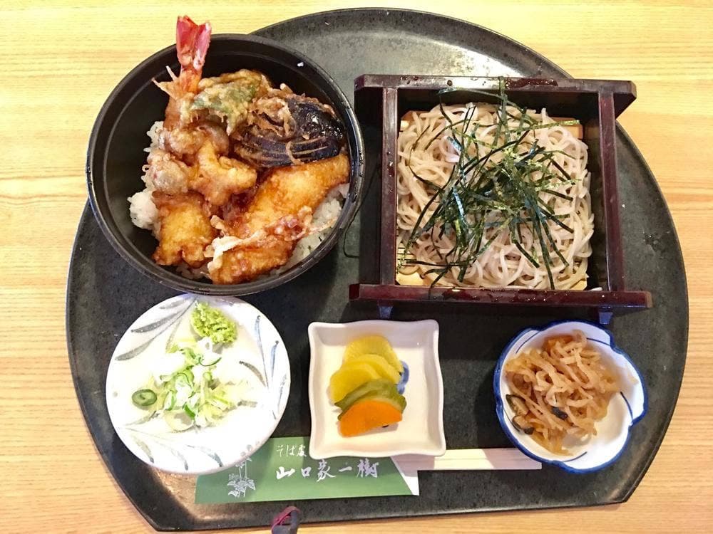 山口家一樹