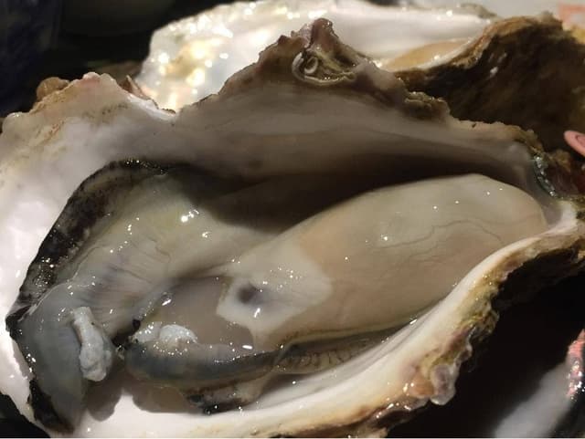 オイスターとおばんざい 石花Hanare 錦 - サブ画像1