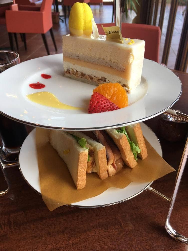 センプレコンテ パティオ