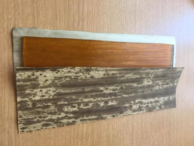 乃し梅本舗 佐藤屋 エスパル山形店 - サブ画像1