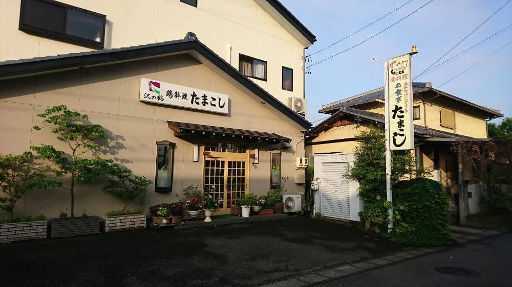 たまこしの鶏料理