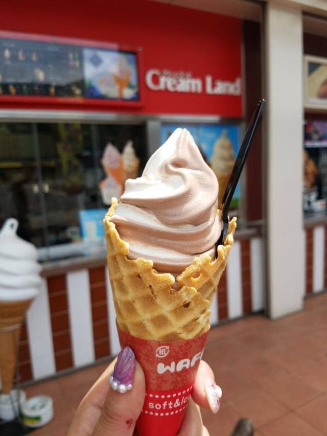 クリームランド 金立サービスエリア店 - サブ画像1