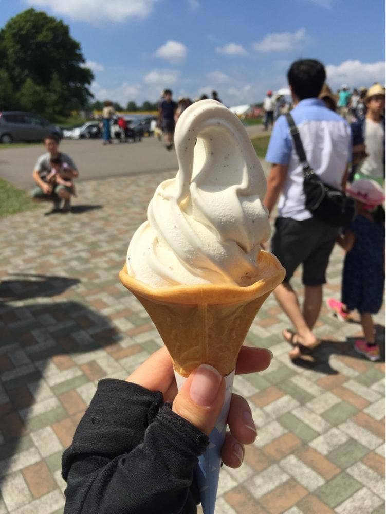 ひまわりの里 ひまわり観光センター
