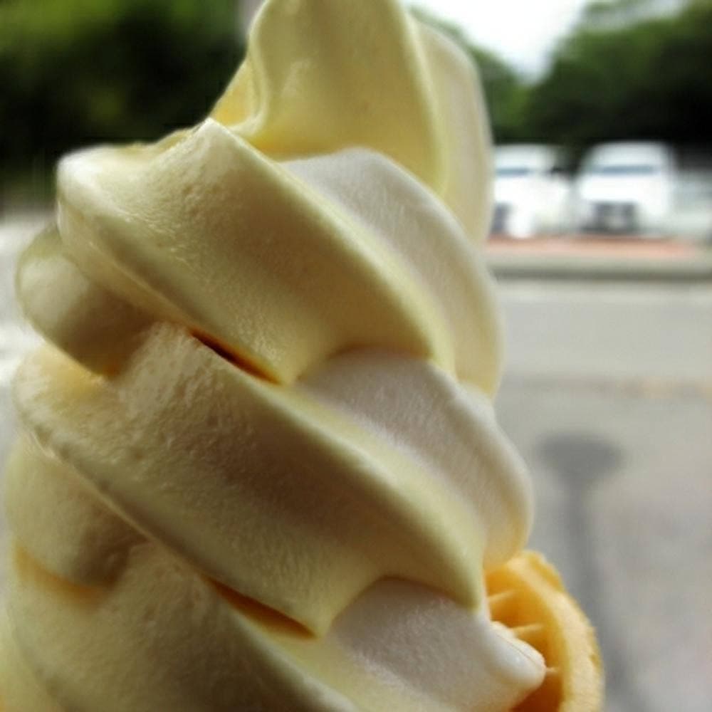 森の駅 風穴 フードコーナー