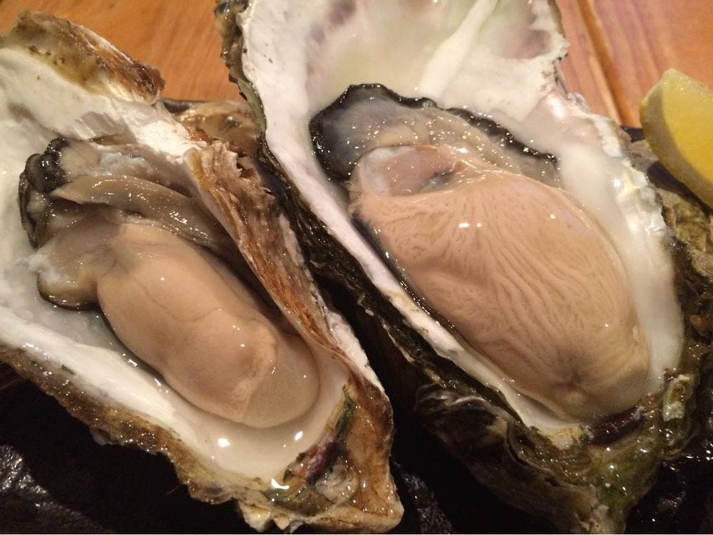 函館番屋ひとし