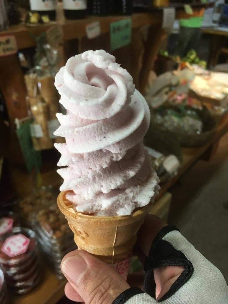 古道の杜 あんちゃん