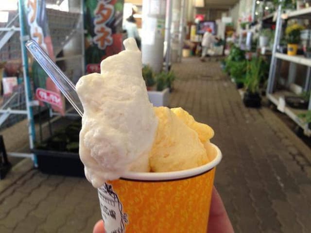 JA紀の里 ファーマーズマーケット めっけもん広場 - サブ画像2