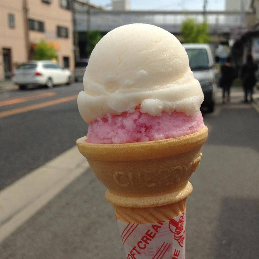 高知土佐アイスクリーム