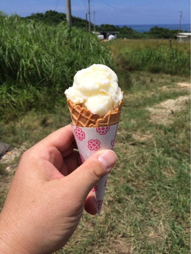 石垣島ミルククラウン - サブ画像2
