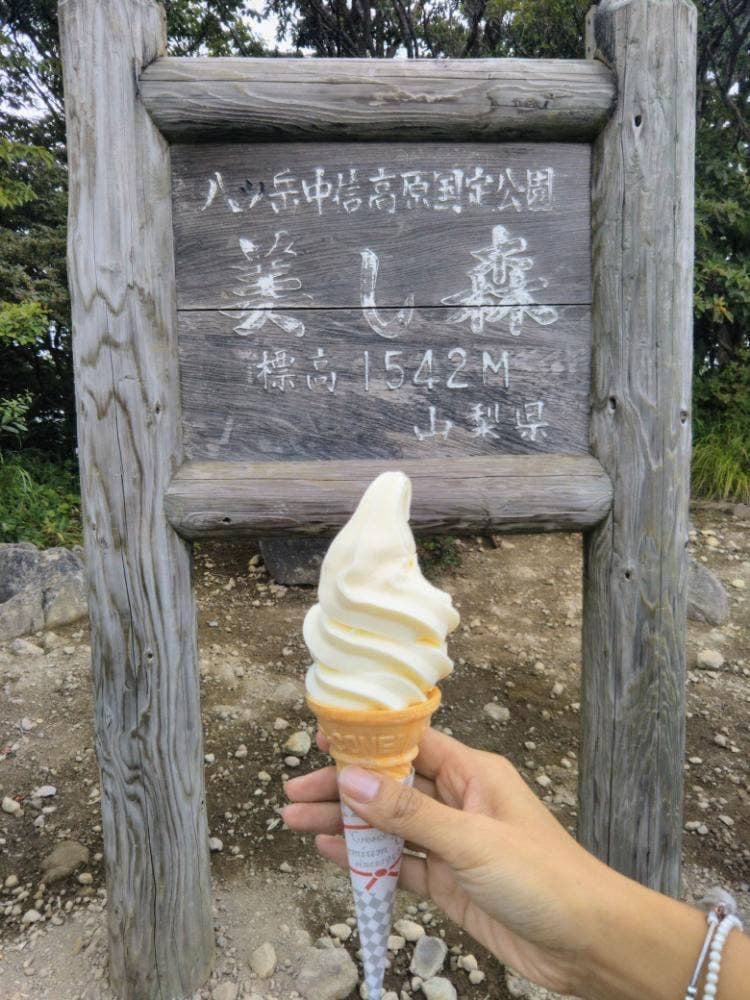 美しの森展望台売店 山の上