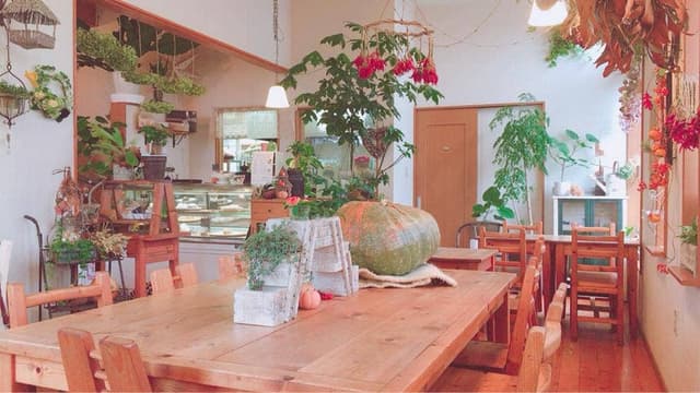 BELLFLOWER 浜松原島本店 - サブ画像1