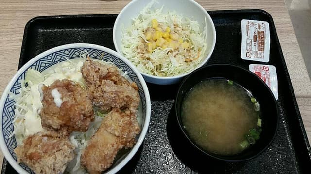 吉野家 鴻池新田店 - サブ画像2
