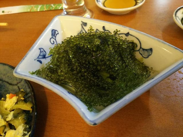 やしの木広場 - サブ画像3