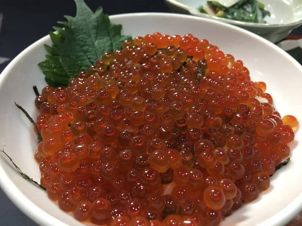 やすらぎ処 石亀