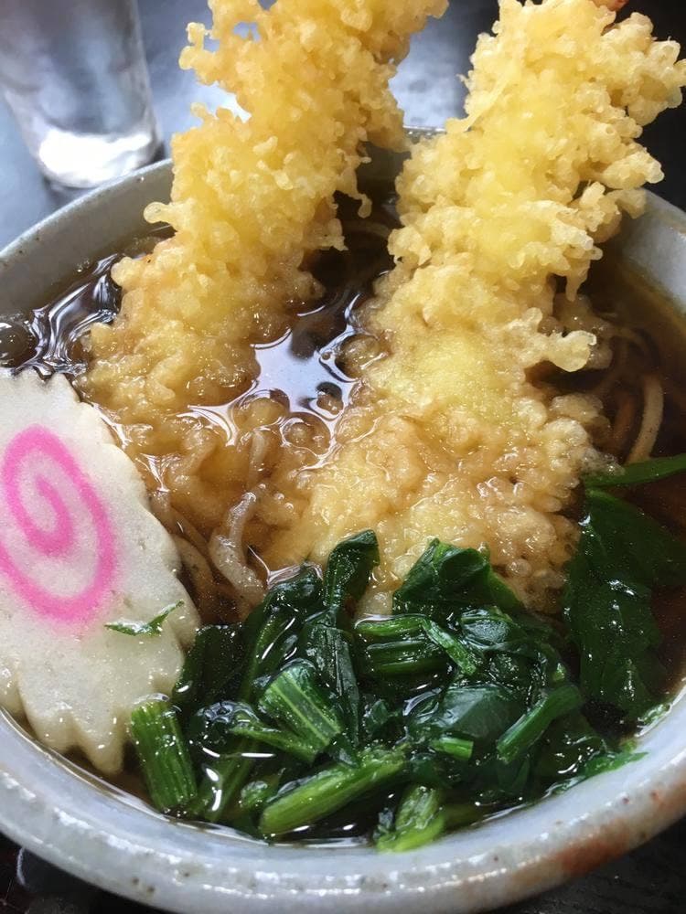 樹庭夢