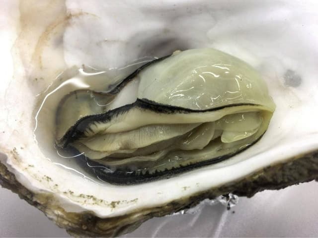稲場魚介苑 - サブ画像2