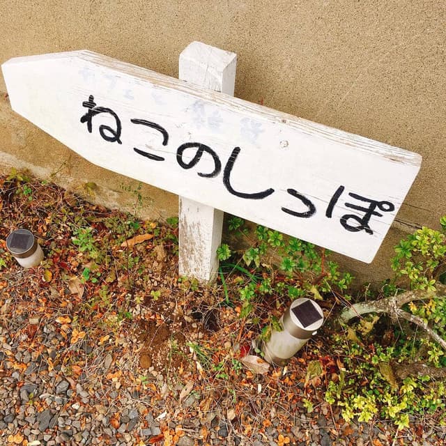 カフェ ねこのしっぽ - サブ画像1