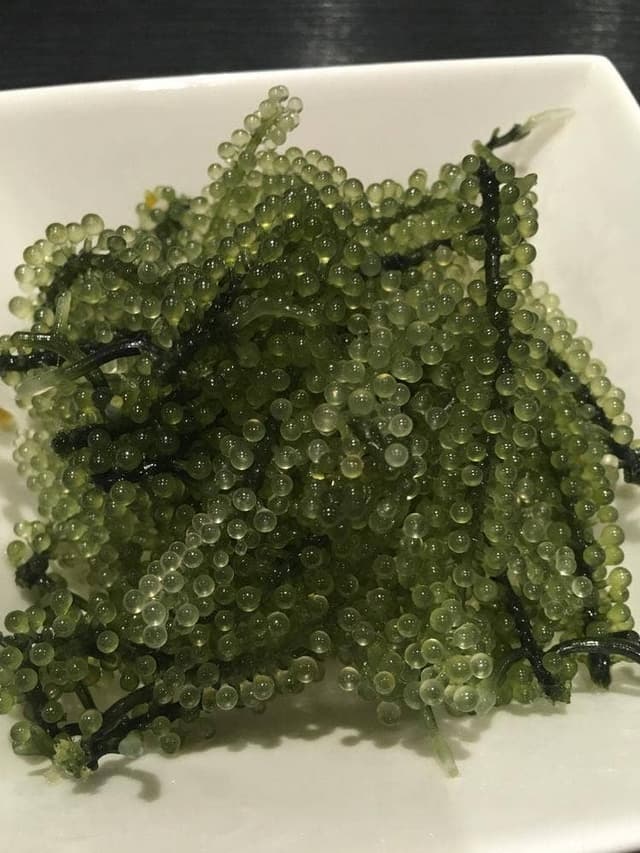 居酒屋 すな川 - サブ画像3