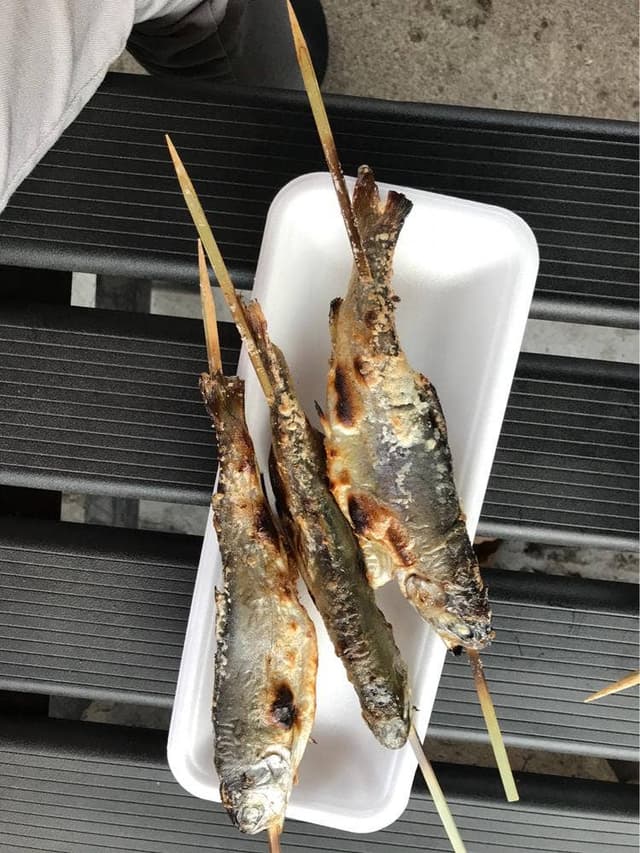 渓流釣り 軽井沢おもちゃ王国 - サブ画像2