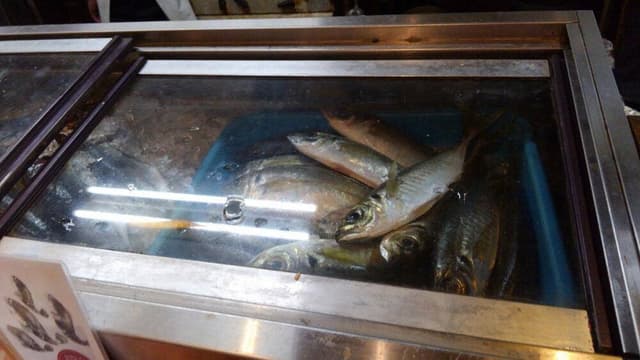 魚屋と食事処 いかざき - サブ画像3