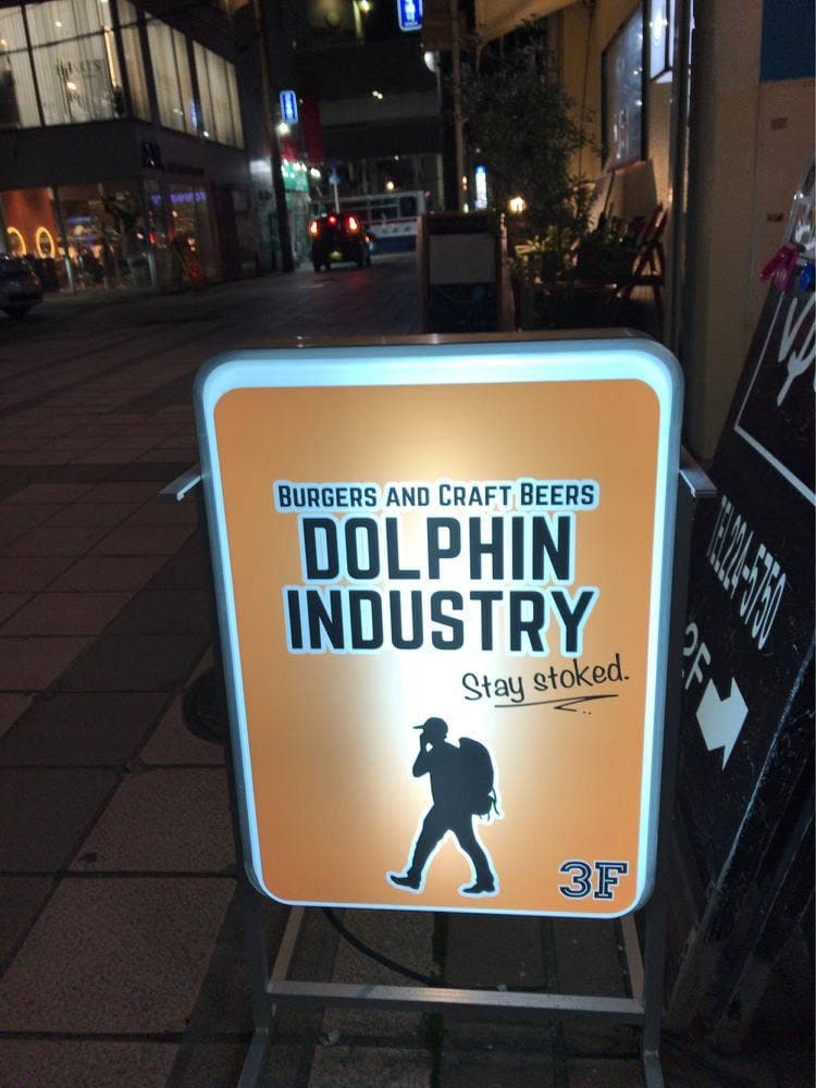 DOLPHIN INDUSTRY