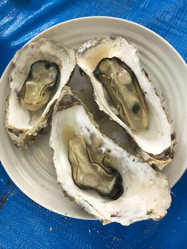 日の丸食堂 道の駅にしめ はまなすの里 - サブ画像1