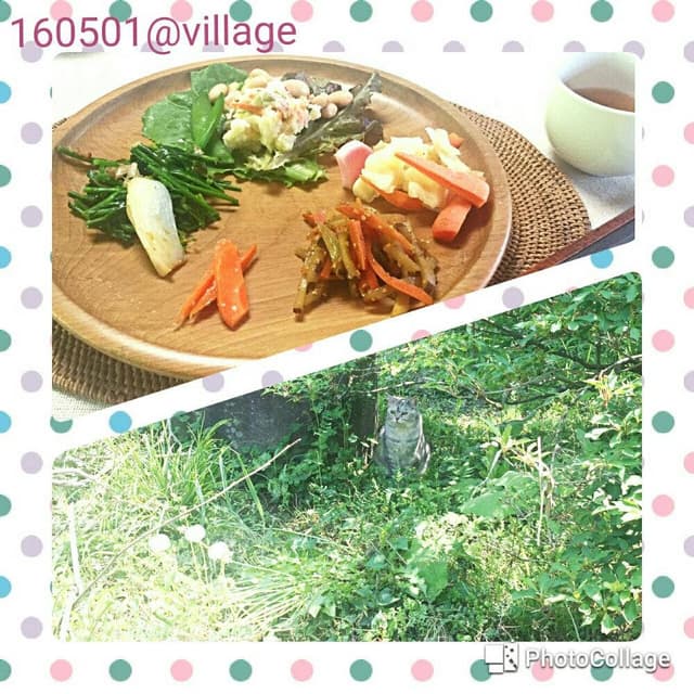Village - サブ画像1