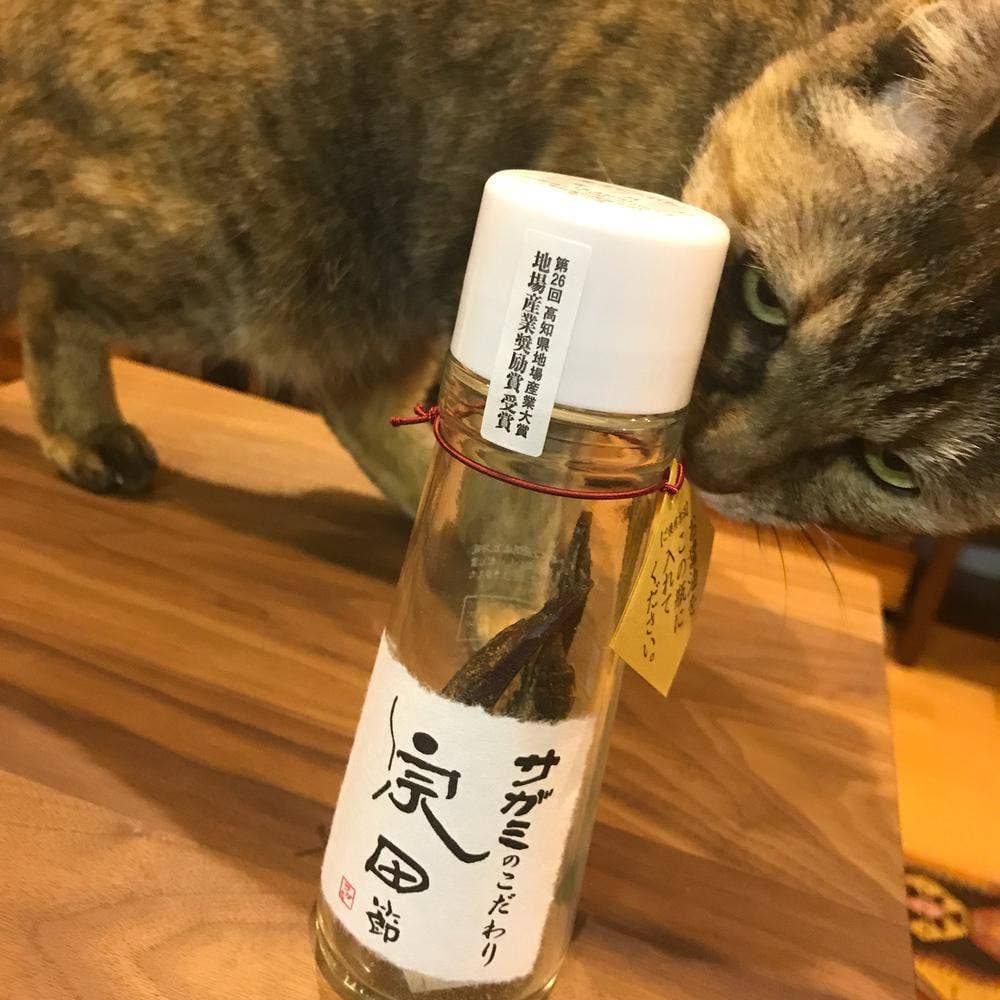 サガミ四軒家店