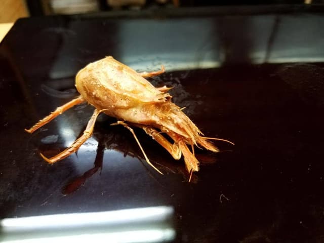 笹すし - サブ画像2