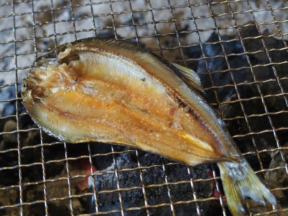 道の駅あゆの里矢田川