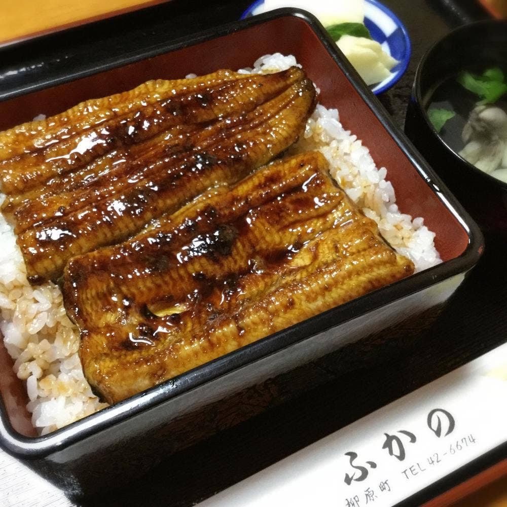 うなぎふかの