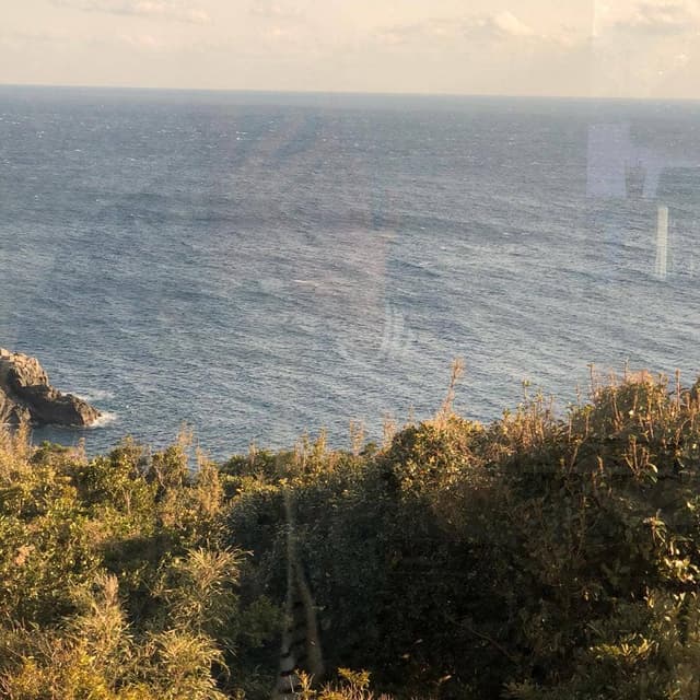 つばき - サブ画像2