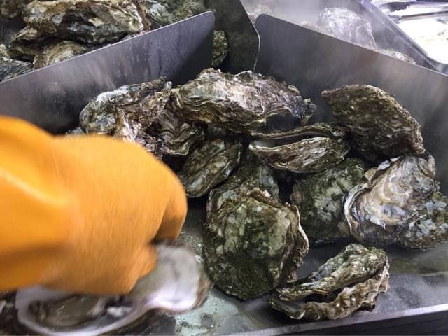 舞鶴かき小屋 美味星 - サブ画像2